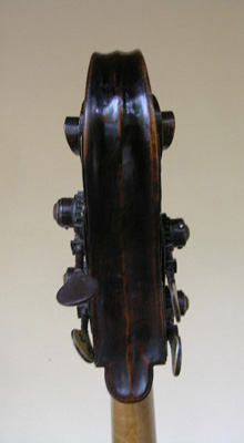 Marcucci Custode - Sant'Agata (RA), 1898