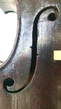 Piccolotti Celestino - Torino 1860