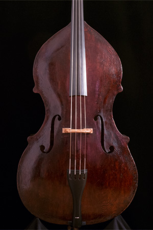 Giuseppe Salvadori, 1877