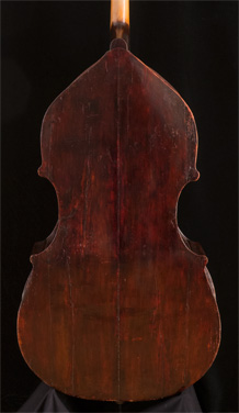 Giuseppe Salvadori, 1877
