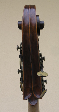 Giovanni Cavani, 1904